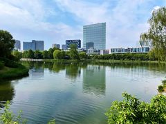 -大兴滨河森林公园