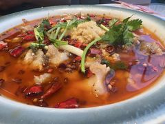 -杨氏青龙虾·羊蝎子(珠江路店)
