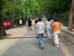 -灵岩山风景区