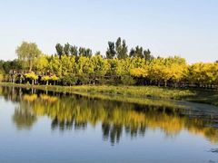 -东郊湿地公园