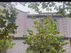 -Bistro Les Lilas丁香花小酒馆