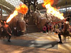 -杭州开元森泊度假乐园