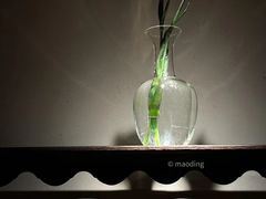 -青桃餐厅