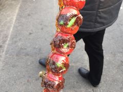 -糖葫芦王保定名吃(古莲花池店)