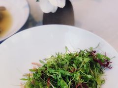 樱花虾蔬苗-逸道(益丰·外滩源店)
