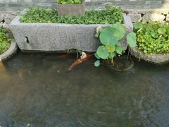 -前童古镇
