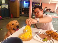 -百好乐宠物友好餐厅(朝外大街店)