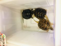 -百年恒益烧腊海鲜酒家·非遗传承(广州黄埔店)