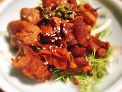 掓麻排骨-小吊梨汤·北京菜·烤鸭(鸟巢店)