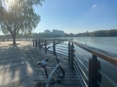 -昆山城市生态森林公园