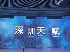 -深圳市当代艺术与城市规划馆