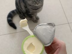 -鑫海韵通大卖场(石园店)