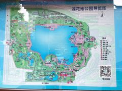 -莲花池公园