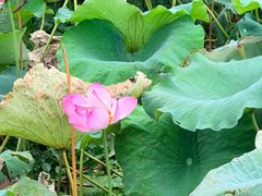-池州市平天湖风景区
