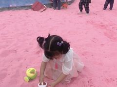 -金卉庄园