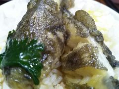 -龙巢盱眙龙虾·牛蛙·烧烤宵夜(八卦岭店)