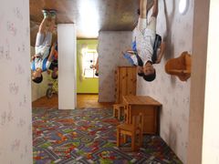 -金山农民画村-枫泾波兰倒置屋