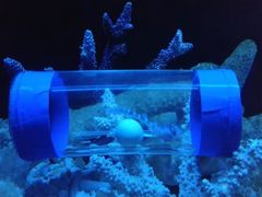 -暹罗海洋世界
