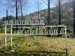 -云溪植物园
