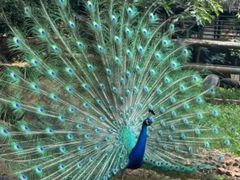 -昆明动物园