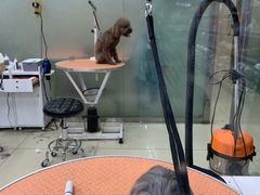 -乐宠宠物店(世纪金源店)