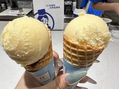 -西琳姑娘·新疆冰淇淋酸奶茶(南开大悦城店)