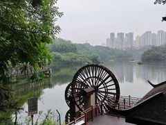 -重庆彩云湖湿地公园