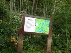 -千岛湖龙川湾