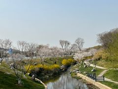 -羊山湖公园