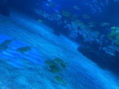 -常州海昌海洋探索馆