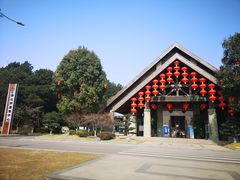 -铁山坪森林公园