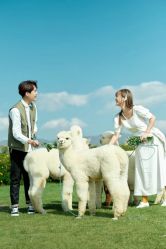 点击看大图 -太古映画婚纱摄影(天河店)