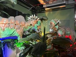 -恐龙探索乐园(磁器口店)