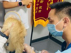 -半岛宠物医院24小时(科华中路店)