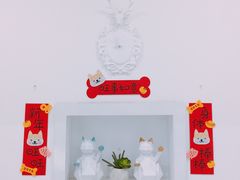 -BABYDOG宝贝狗宠物乐园(欧洲城店)