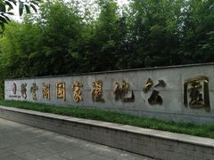 -重庆彩云湖湿地公园