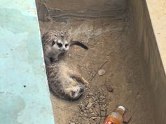 -无锡动物园·太湖欢乐园