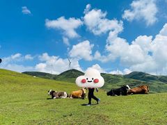 -乌蒙大草原
