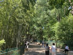 -灵岩山风景区