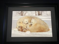 -罗红摄影艺术馆