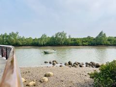 -东寨港红树林旅游区