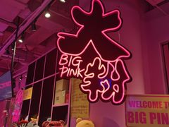 -BIG PINK大粉娃娃机主题馆(圆融星座店)