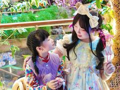 -正佳雨林生态植物园