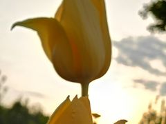 -长春公园(普阳街道)