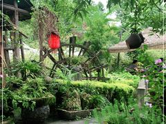 -青城甲(青城山店)