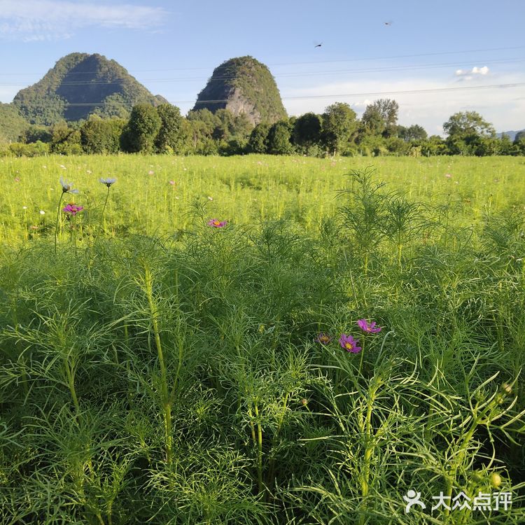 灵川潭下甘草村,网红壁画村,美