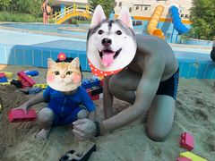 -南宫温泉水世界