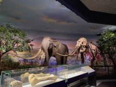 -湖南省地质博物馆