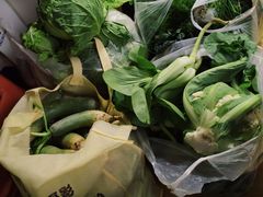 -万源龙顺度假庄园生态观光园