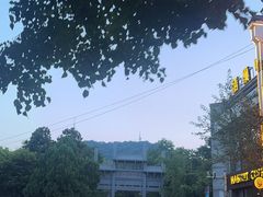 -一叶觅山(半边街店)